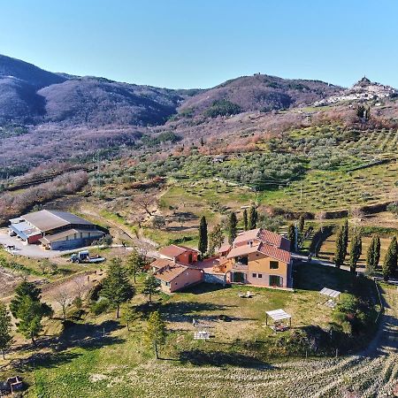 Az.Agr. Il Cavalleggero Villa Campiglia d'Orcia Exterior photo